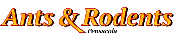 Pensacola Ant Exterminator & Rodent Control Company Logo